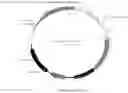 Fig. 04 - A GENETICALLY MODIFIED LACTOBACILLUS AND USES THEREOF