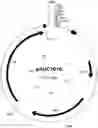 Fig. 01 - Chloride-Inducible Prokaryotic Expression System