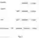 Fig. 03 - Leghemoglobin in soybean