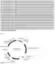 Fig. 11 - METHOD OF INCREASING RESISTANCE AGAINST SOYBEAN RUST IN TRANSGENIC PLANTS BY EXPRESSION OF A SUGAR TRANSPORTER