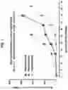 Fig. 02 - NON-HLA MATCHED HUMANIZED NSG MOUSE MODEL WITH PATIENT-DERIVED XENOGRAFT