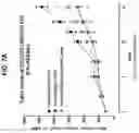 Fig. 10 - NON-HLA MATCHED HUMANIZED NSG MOUSE MODEL WITH PATIENT-DERIVED XENOGRAFT