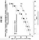 Fig. 14 - NON-HLA MATCHED HUMANIZED NSG MOUSE MODEL WITH PATIENT-DERIVED XENOGRAFT