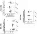 Fig. 16 - NON-HLA MATCHED HUMANIZED NSG MOUSE MODEL WITH PATIENT-DERIVED XENOGRAFT