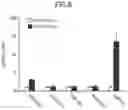 Fig. 06 - ARTIFICIAL MICRORNA PRECURSOR AND IMPROVED MICRORNA EXPRESSION VECTOR CONTAINING THE SAME