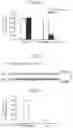 Fig. 09 - ARTIFICIAL MICRORNA PRECURSOR AND IMPROVED MICRORNA EXPRESSION VECTOR CONTAINING THE SAME