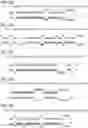 Fig. 10 - ARTIFICIAL MICRORNA PRECURSOR AND IMPROVED MICRORNA EXPRESSION VECTOR CONTAINING THE SAME