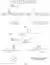 Fig. 02 - CONTROLLABLE GENOME EDITING SYSTEM