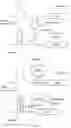 Fig. 03 - CONTROLLABLE GENOME EDITING SYSTEM