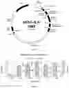 Fig. 05 - CONTROLLABLE GENOME EDITING SYSTEM