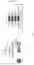 Fig. 05 - CHIMERIC ANTIGEN RECEPTOR (CAR) NK CELLS AND USES THEREOF
