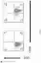 Fig. 08 - CHIMERIC ANTIGEN RECEPTOR (CAR) NK CELLS AND USES THEREOF