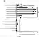 Fig. 12 - CHIMERIC ANTIGEN RECEPTOR (CAR) NK CELLS AND USES THEREOF