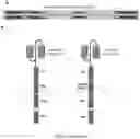 Fig. 15 - CHIMERIC ANTIGEN RECEPTOR (CAR) NK CELLS AND USES THEREOF