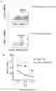 Fig. 17 - CHIMERIC ANTIGEN RECEPTOR (CAR) NK CELLS AND USES THEREOF