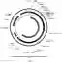 Fig. 31 - CHIMERIC ANTIGEN RECEPTOR (CAR) NK CELLS AND USES THEREOF