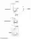 Fig. 03 - Enzymatic production of mannose