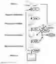 Fig. 07 - Enzymatic production of mannose