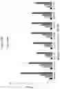 Fig. 12 - Production of Steviol Glycosides in Recombinant Hosts