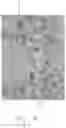 Fig. 10 - A METHOD FOR DETECTING DORMANT OR CELL WALL DEFICIENT MYCOBACTERIUM SPECIES AND A METHOD AND MEDIUM FOR THE GROWTH PROMOTION OF DORMANT OR CELL WALL DEFICIENT FORMS OF MYCOBACTERIUM SPECIES