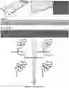 Fig. 01 - Methods of detecting analytes