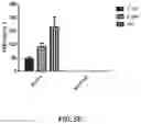 Fig. 07 - AN IMPROVED METHOD OF PREPARING CLINICAL SAMPLES FOR NUCLEIC ACID AMPLIFICATION