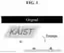 Fig. 02 - NUCLEIC ACID-MEDIATED PATTERN REPLICATION AND METHOD OF MANUFACTURING 2-D MATERIAL USING THE SAME
