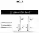 Fig. 04 - NUCLEIC ACID-MEDIATED PATTERN REPLICATION AND METHOD OF MANUFACTURING 2-D MATERIAL USING THE SAME