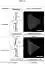 Fig. 13 - NUCLEIC ACID-MEDIATED PATTERN REPLICATION AND METHOD OF MANUFACTURING 2-D MATERIAL USING THE SAME
