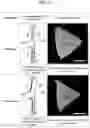 Fig. 14 - NUCLEIC ACID-MEDIATED PATTERN REPLICATION AND METHOD OF MANUFACTURING 2-D MATERIAL USING THE SAME