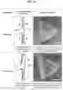 Fig. 15 - NUCLEIC ACID-MEDIATED PATTERN REPLICATION AND METHOD OF MANUFACTURING 2-D MATERIAL USING THE SAME
