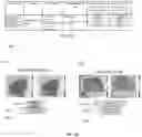 Fig. 15 - Spatial analysis of DNA methylation