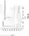 Fig. 25 - Spatial analysis of DNA methylation