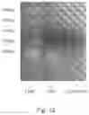Fig. 26 - METHOD OF DNA SYNTHESIS