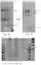 Fig. 28 - METHOD OF DNA SYNTHESIS