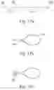 Fig. 29 - METHOD OF DNA SYNTHESIS