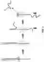 Fig. 02 - Hairpin loop method for double strand polynucleotide sequencing using transmembrane pores