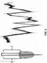 Fig. 06 - Hairpin loop method for double strand polynucleotide sequencing using transmembrane pores