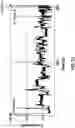 Fig. 12 - Hairpin loop method for double strand polynucleotide sequencing using transmembrane pores