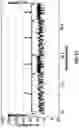 Fig. 28 - Hairpin loop method for double strand polynucleotide sequencing using transmembrane pores