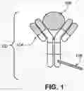Fig. 02 - Enhancing specificity of analyte binding