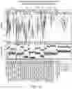 Fig. 24 - METHODS FOR DIAGNOSIS OF BACTERIAL AND VIRAL INFECTIONS