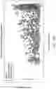 Fig. 31 - METHODS FOR DIAGNOSIS OF BACTERIAL AND VIRAL INFECTIONS