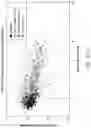 Fig. 34 - METHODS FOR DIAGNOSIS OF BACTERIAL AND VIRAL INFECTIONS