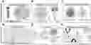 Fig. 01 - METHODS FOR DETECTING CIRCULATING STROMAL CELLS