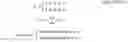 Fig. 08 - METHODS AND COMPOSITIONS FOR PROGNOSTIC AND/OR DIAGNOSTIC SUBTYPING OF PANCREATIC CANCER