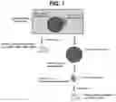 Fig. 02 - PREPARATION DEVICE AND PREPARATION METHOD FOR EXOSOME LIQUID BIOPSY SAMPLE AND METHOD FOR ANALYZING EXOSOME LIQUID BIOPSY SAMPLE PREPARED THEREBY
