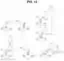 Fig. 09 - PREPARATION DEVICE AND PREPARATION METHOD FOR EXOSOME LIQUID BIOPSY SAMPLE AND METHOD FOR ANALYZING EXOSOME LIQUID BIOPSY SAMPLE PREPARED THEREBY