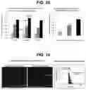 Fig. 16 - PREPARATION DEVICE AND PREPARATION METHOD FOR EXOSOME LIQUID BIOPSY SAMPLE AND METHOD FOR ANALYZING EXOSOME LIQUID BIOPSY SAMPLE PREPARED THEREBY