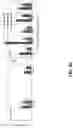 Fig. 29 - PREPARATION DEVICE AND PREPARATION METHOD FOR EXOSOME LIQUID BIOPSY SAMPLE AND METHOD FOR ANALYZING EXOSOME LIQUID BIOPSY SAMPLE PREPARED THEREBY